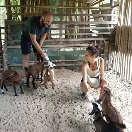 Yaoisland Resort And Farm Ко-Яо-Яй Екстер'єр фото
