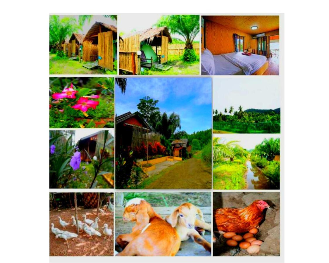 Yaoisland Resort And Farm Ко-Яо-Яй Екстер'єр фото