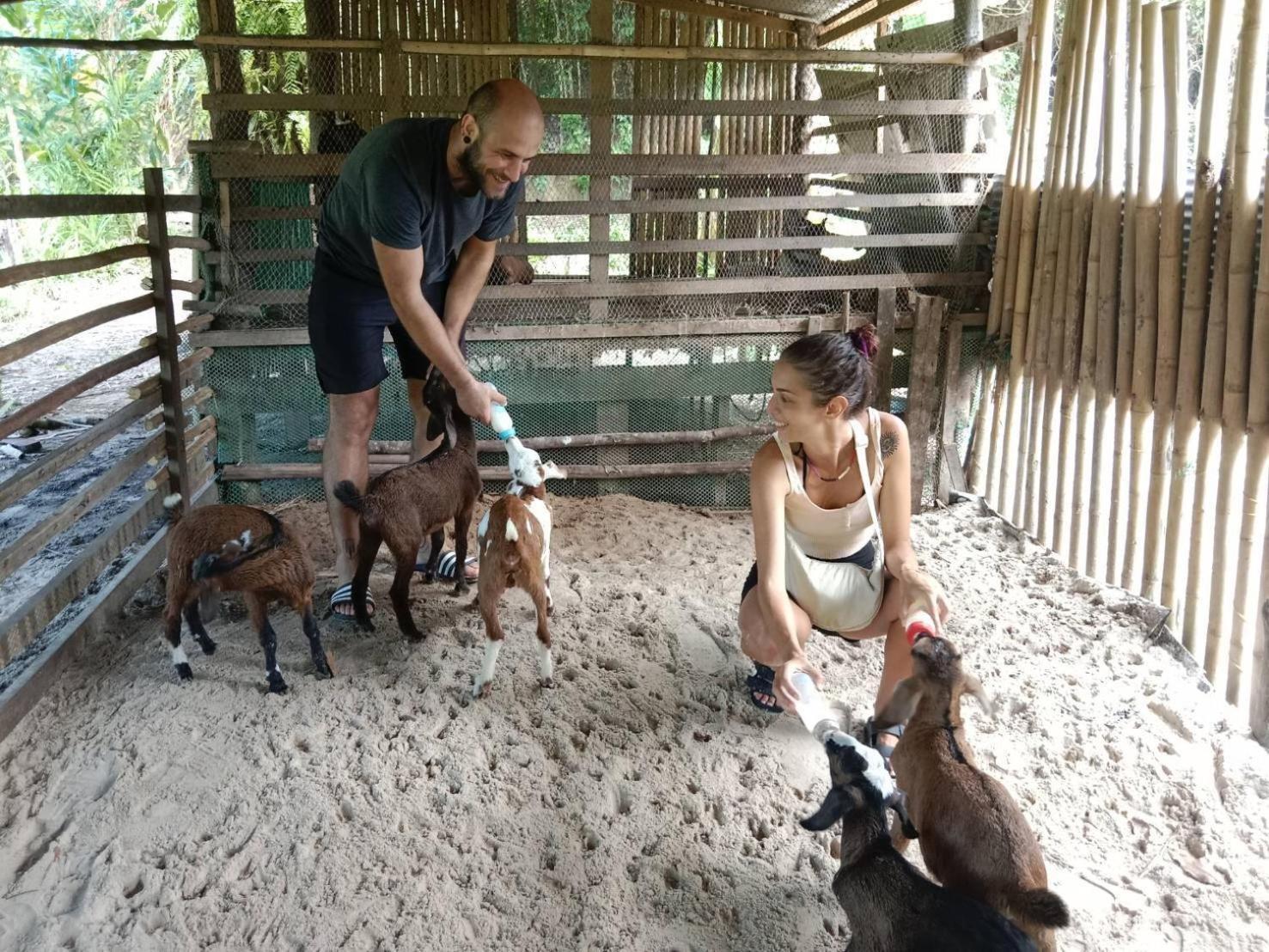 Yaoisland Resort And Farm Ко-Яо-Яй Екстер'єр фото