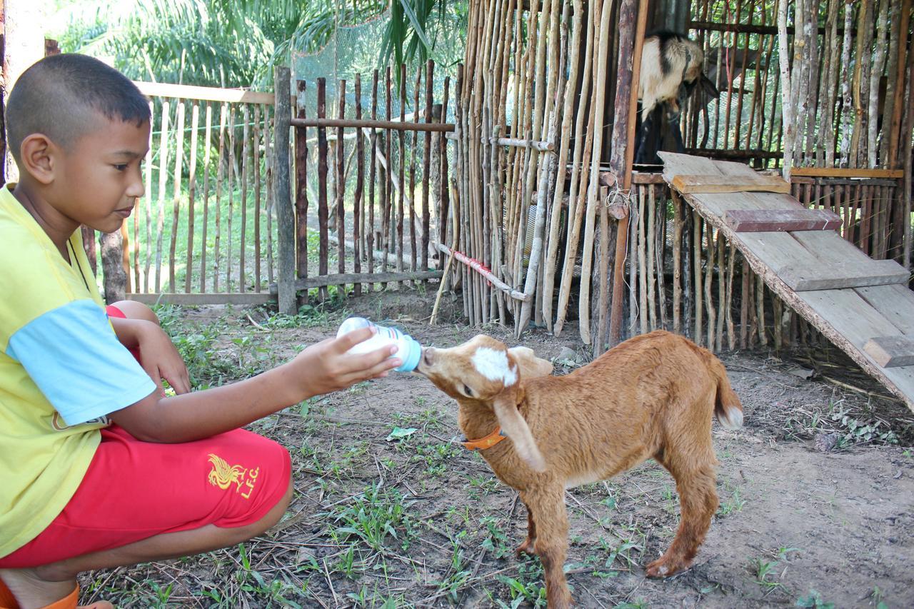 Yaoisland Resort And Farm Ко-Яо-Яй Екстер'єр фото
