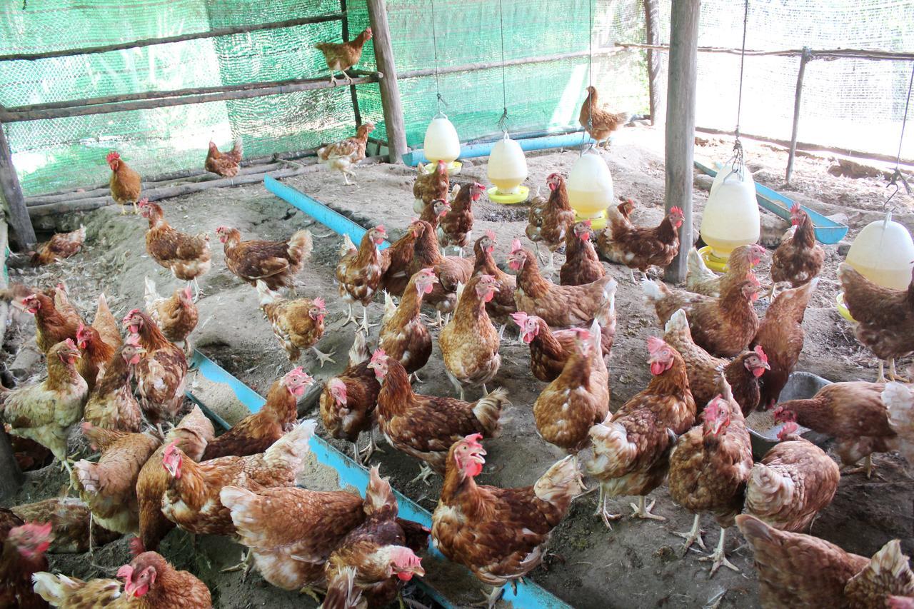 Yaoisland Resort And Farm Ко-Яо-Яй Екстер'єр фото