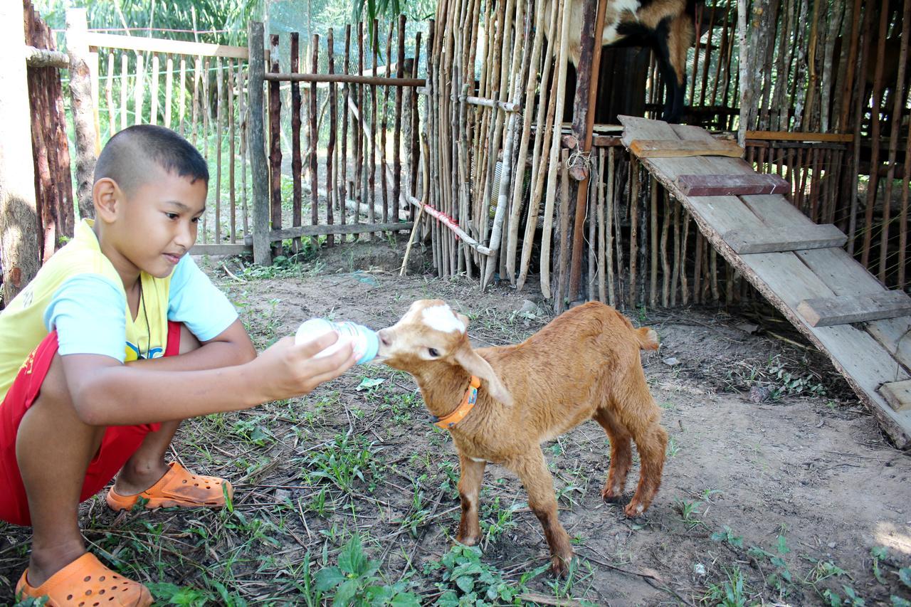 Yaoisland Resort And Farm Ко-Яо-Яй Екстер'єр фото